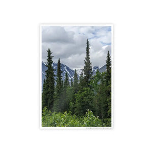 Gloss Posters - Nature Trees Wall Art Sparkle - Dipaliz - 11.7’’ x 16.5’’ (vertical) / Glossy - Prints & Visual Artwork
