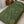 Velveteen Plush Blanket – Premium Home Decor - Dipaliz - Blankets