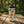 Cute Capybara Pattern Stainless Steel Water Bottle, Personalized Name Option - Bottles