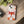 Sleek Fox Phone Cover - Durable Clear Tpu Case - Dipaliz - Mobile Cases