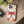 Sleek Fox Phone Cover - Durable Clear Tpu Case - Dipaliz - Mobile Cases