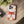 Sleek Fox Phone Cover - Durable Clear Tpu Case - Dipaliz - Mobile Cases