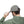Distressed Dad Level Expert Hat - Father’s Day Cotton - Dipaliz - Hats