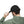 Distressed Dad Level Expert Hat - Father’s Day Cotton - Dipaliz - Hats