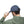 Vintage Distressed Hats - Cotton Twill Daily Style - Dipaliz