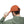 Vintage Distressed Hats - Cotton Twill Daily Style - Dipaliz