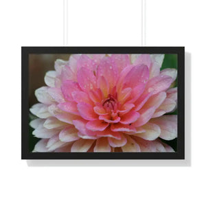 Dahlia Closeup Flower Framed Horizontal Poster - Dipaliz - 30’’ x 20’’ / Black - Posters Prints & Visual Artwork