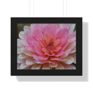 Dahlia Closeup Flower Framed Horizontal Poster - Dipaliz - 14″ x 11″ / Black - Posters Prints & Visual Artwork