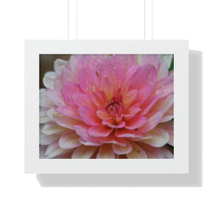 Dahlia Closeup Flower Framed Horizontal Poster - Dipaliz - 14″ x 11″ / White - Posters Prints & Visual Artwork