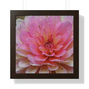 Dahlia Closeup Flower Framed Horizontal Poster - Dipaliz - 16″ x / Walnut - Posters Prints & Visual Artwork