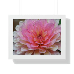 Dahlia Closeup Flower Framed Horizontal Poster - Dipaliz - 16″ x 12″ / White - Posters Prints & Visual Artwork