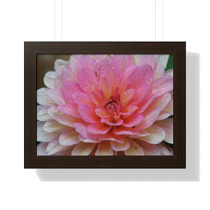 Dahlia Closeup Flower Framed Horizontal Poster - Dipaliz - 16″ x 12″ / Walnut - Posters Prints & Visual Artwork