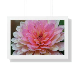 Dahlia Closeup Flower Framed Horizontal Poster - Dipaliz - 24″ x 16″ / White - Posters Prints & Visual Artwork