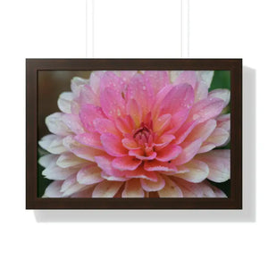 Dahlia Closeup Flower Framed Horizontal Poster - Dipaliz - 24″ x 16″ / Walnut - Posters Prints & Visual Artwork