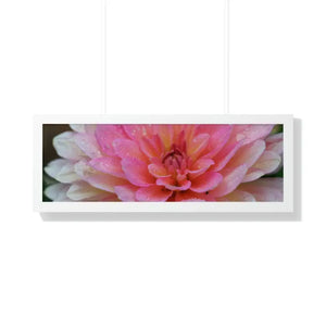 Dahlia Closeup Flower Framed Horizontal Poster - Dipaliz - 36″ x 12″ / White - Posters Prints & Visual Artwork