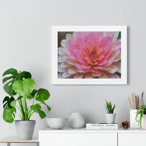 Dahlia Closeup Flower Framed Horizontal Poster - Dipaliz - Posters Prints & Visual Artwork