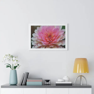 Dahlia Closeup Flower Framed Horizontal Poster - Dipaliz - Posters Prints & Visual Artwork