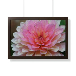 Dahlia Closeup Flower Framed Horizontal Poster - Dipaliz - 30’’ x 20’’ / Walnut - Posters Prints & Visual Artwork