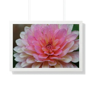 Dahlia Closeup Flower Framed Horizontal Poster - Dipaliz - 30’’ x 20’’ / White - Posters Prints & Visual Artwork