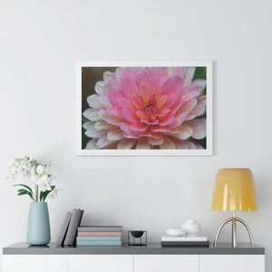 Dahlia Closeup Flower Framed Horizontal Poster - Dipaliz - Posters Prints & Visual Artwork