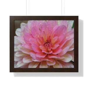 Dahlia Closeup Flower Framed Horizontal Poster - Dipaliz - 20’’ x 16’’ / Walnut - Posters Prints & Visual Artwork
