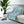 DipaliZ daisy meadow sherpa blanket with white daisies on printed polyester fleece