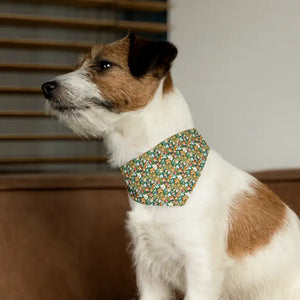 Pet Bandana Collar - Designer Polyester Print - Dipaliz - Collars & Harnesses