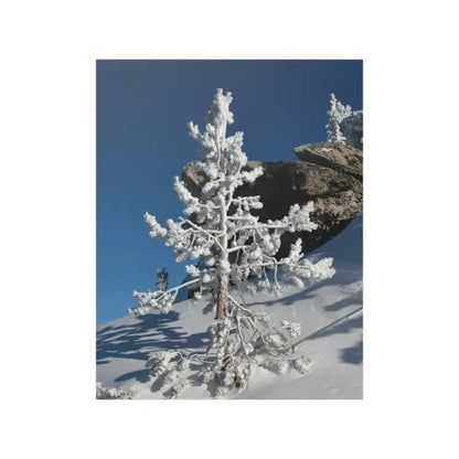 Elevate your Home with Dipaliz’s Snow Covered Tree Poster - 11″ x 14″