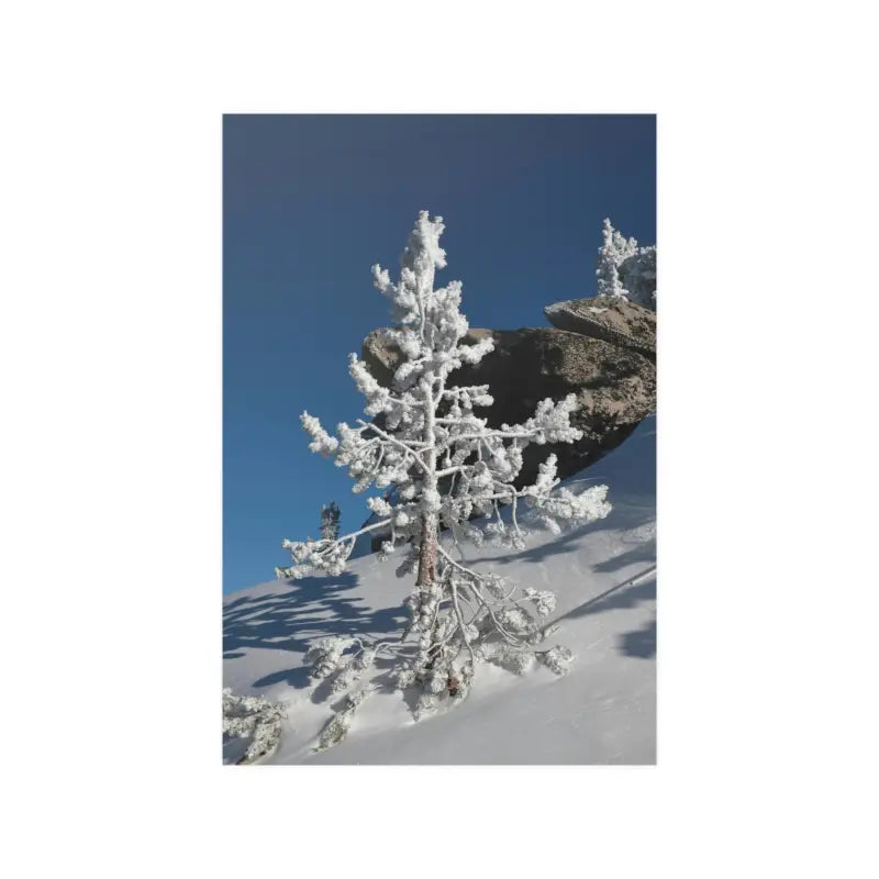 Elevate your Home with Dipaliz’s Snow Covered Tree Poster - 12″ x 18″