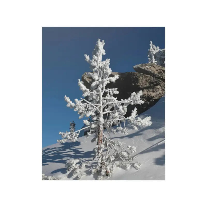 Elevate your Home with Dipaliz’s Snow Covered Tree Poster - 16″ x 20″