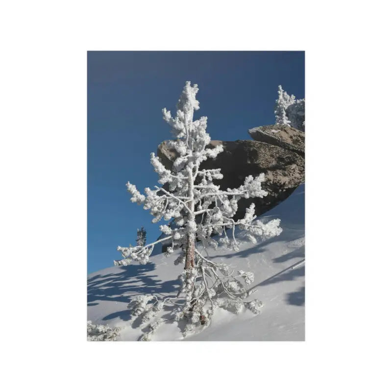 Elevate your Home with Dipaliz’s Snow Covered Tree Poster - 18″ x 24″