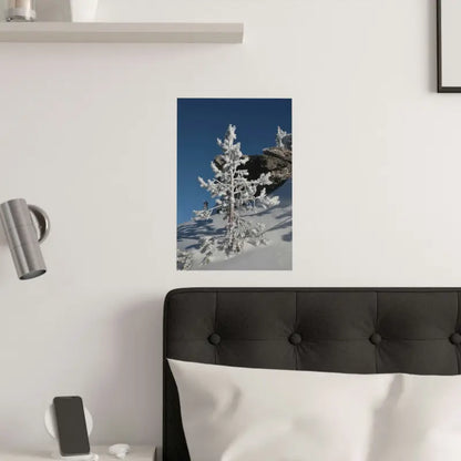 Elevate your Home with Dipaliz’s Snow Covered Tree Poster