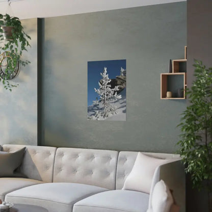 Elevate your Home with Dipaliz’s Snow Covered Tree Poster