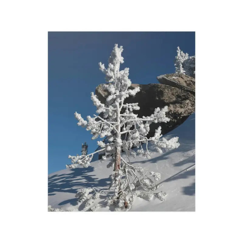 Elevate your Home with Dipaliz’s Snow Covered Tree Poster - 9″ x 11″