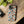 Tough Protective Phone Cases - Dog Print Extra Durability - Dipaliz - Mobile