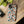 Tough Protective Phone Cases - Dog Print Extra Durability - Dipaliz - Mobile