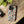 Tough Protective Phone Cases - Dog Print Extra Durability - Dipaliz - Mobile