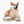 Posh Porcelain Pet Bowl Paw Print Pattern - Dipaliz - Bowls Feeders & Waterers