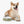 Chic Dog Print Pet Bowl - Ceramic 6 Inch Dish - Dipaliz - Bowls Feeders & Waterers