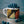 Durable Enamel Camping Mug - Autumn Leaves Stainless - Dipaliz - Mugs