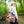 Bird Branch Tote Bag 100% Polyester Nature Gift - Dipaliz - Bags