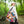 Bird Branch Tote Bag 100% Polyester Nature Gift - Dipaliz - Bags