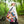 Bird Branch Tote Bag 100% Polyester Nature Gift - Dipaliz - Bags