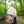 Bird Branch Tote Bag 100% Polyester Nature Gift - Dipaliz - Bags