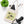 Organic Canvas Tote Bag Birds and Nest Design - Dipaliz - Bags