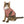 Stylish Cat Hoodie - Vibrant Print Pattern - Dipaliz - Pet Hoodies