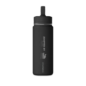 Dipaliz Cat Silhouette Water Bottle 20oz Minimalist Steel - Bottles