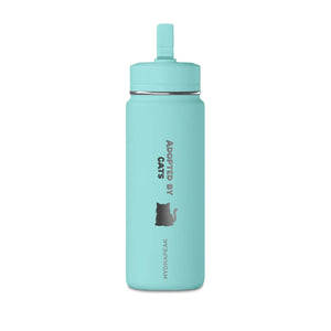 Dipaliz Cat Silhouette Water Bottle 20oz Minimalist Steel - Bottles