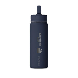 Dipaliz Cat Silhouette Water Bottle 20oz Minimalist Steel - Bottles