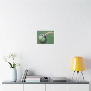Poppy Bud Canvas Art Radial Pine Frame Dipaliz - Posters Prints & Visual Artwork